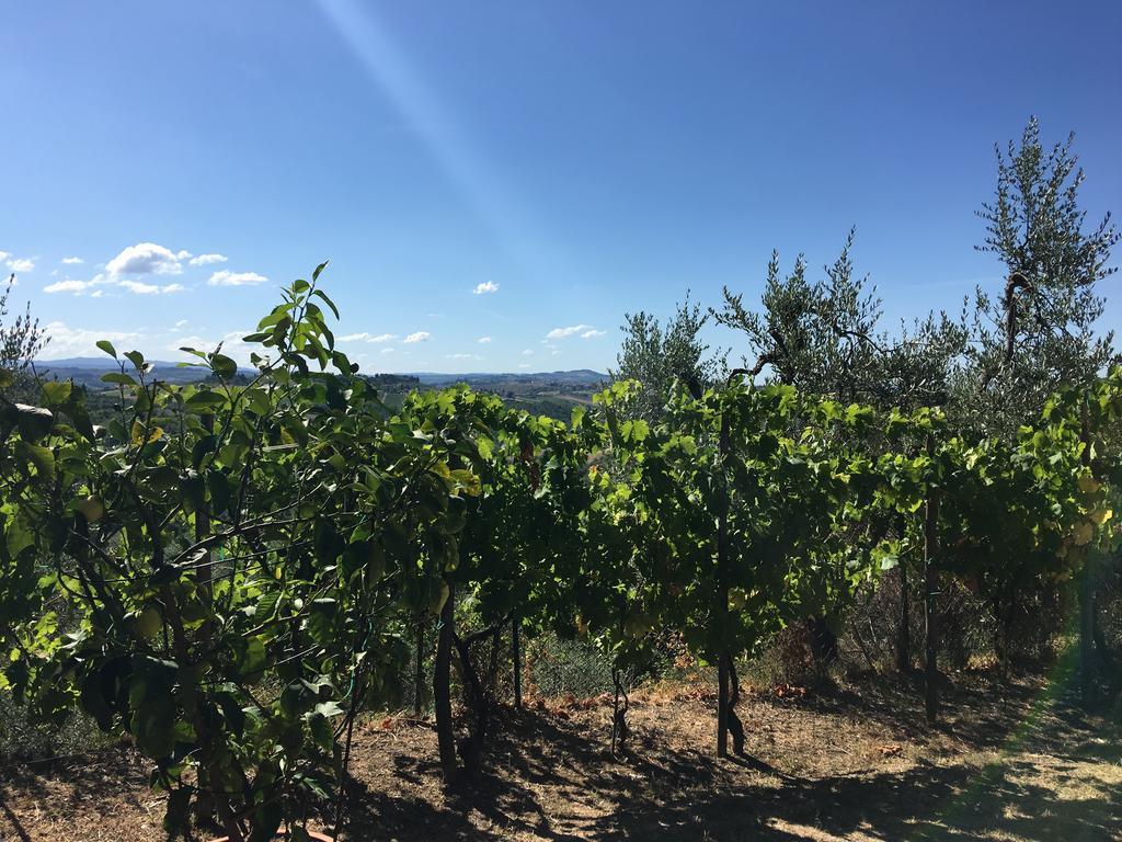 Podere Casanova Montespertoli Exterior photo